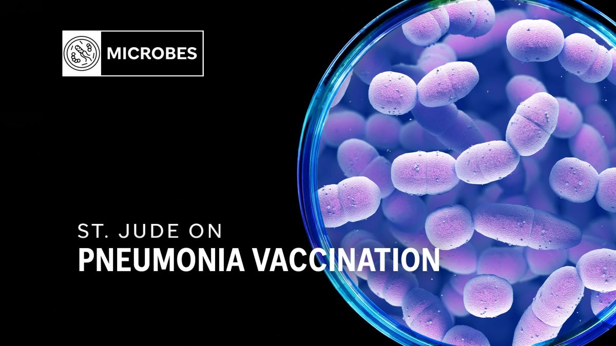 Universal pneumonia vaccination is the result of decades of research ...
