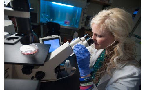 Image of Elizabeth Stewart looking into microscope