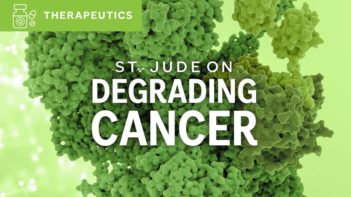 Targeted protein degradation to treat cancer St. Jude Progress