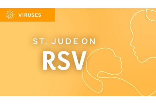 RSV graphic