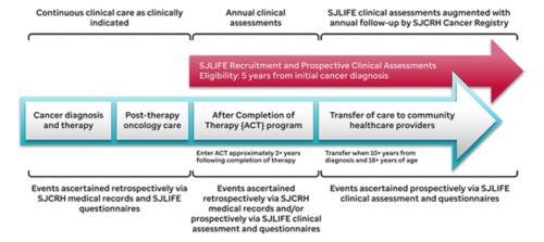 st. jude lifetime cohort graphic