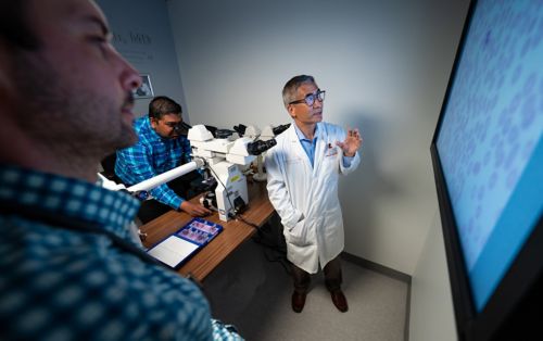 Cliff Takemoto and other researchers looking at big screen