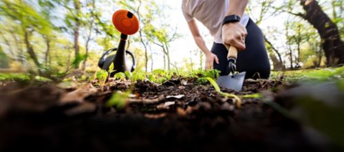 two hands holding plant that has been dug up