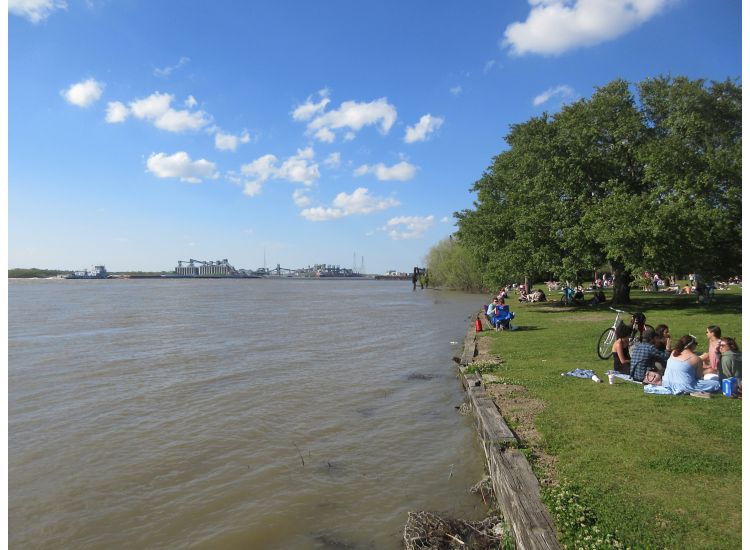 Park lawn beside the Mississippi River, with people sitting on the grass.