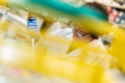 image of someone working in a lab