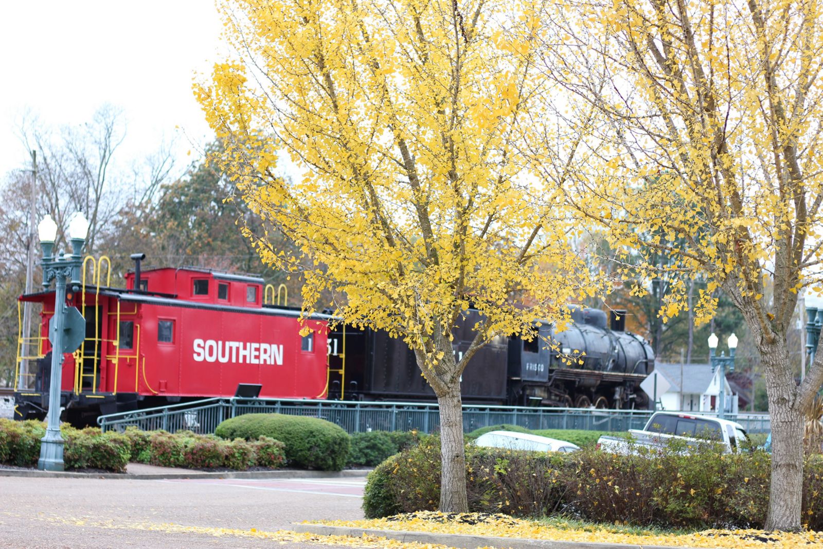 A yellow tree in the town center in front of a red train car.