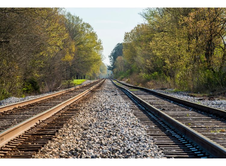 Long shot of straight railroad tracks surrounded by trees.