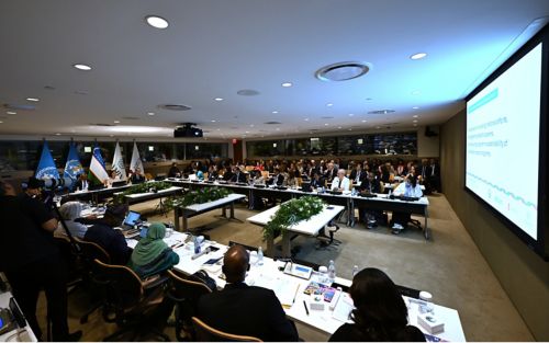 Large group at UN presentation