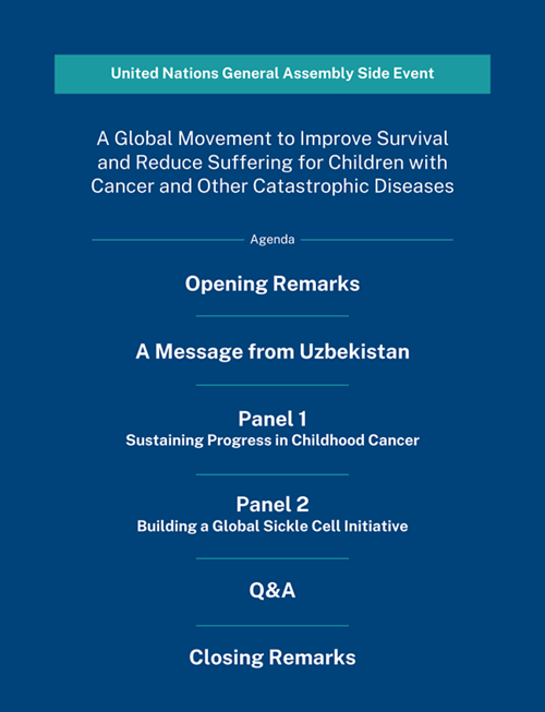 unga agenda