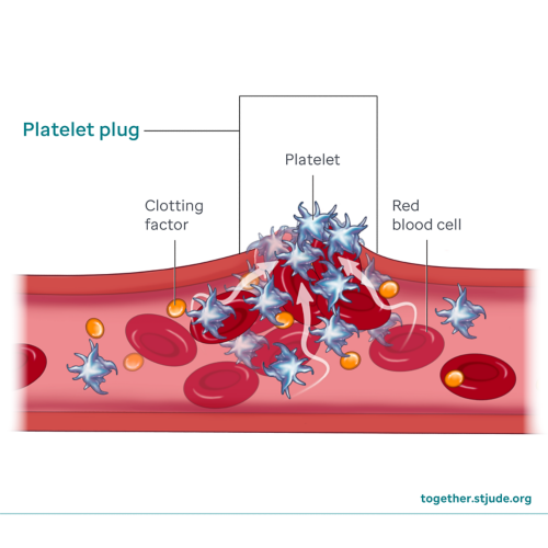 Medical illustration showing clotting factors