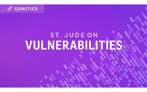 Vulnerabilities graphic 