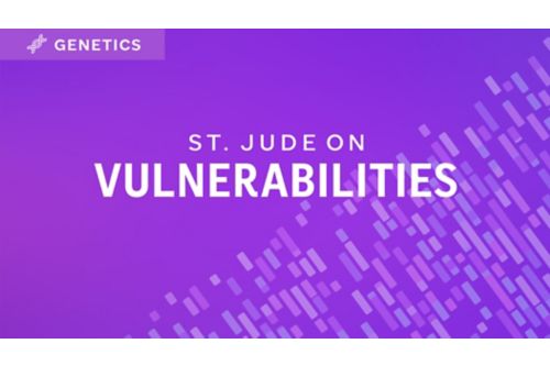 Vulnerabilities graphic 