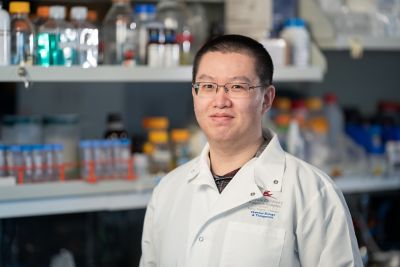 Jingheng Wang, PhD