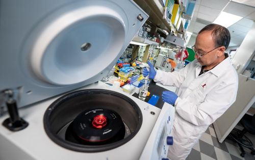 Image of man working in a lab