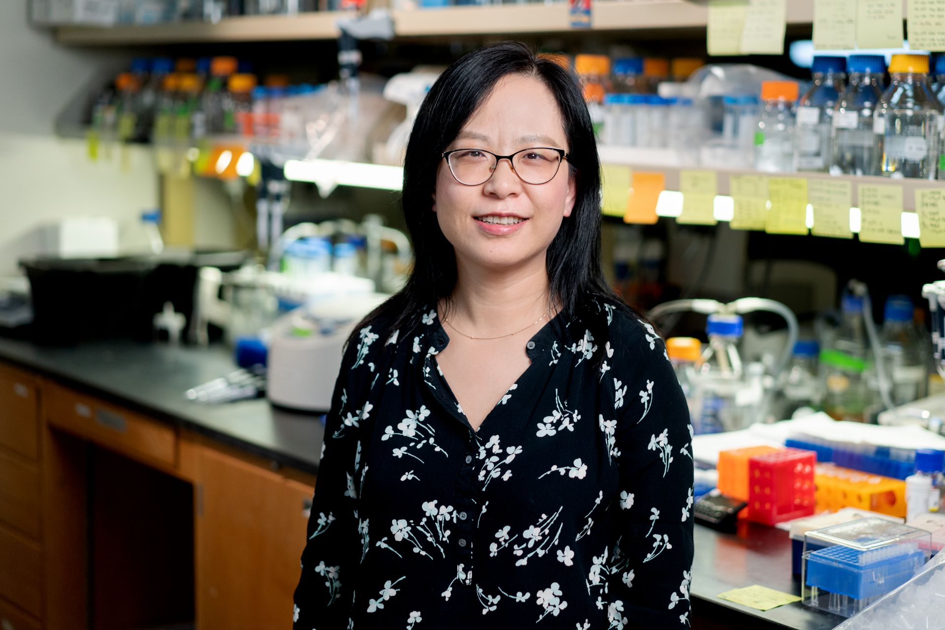 Yingdi Wang, PhD