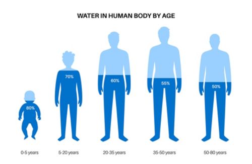 Illustration of water in the body by age