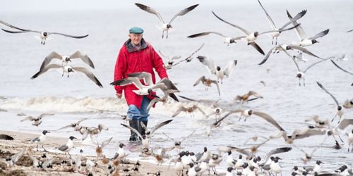 Man walking on beach among seagulls