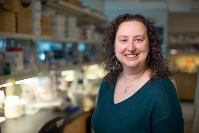 Marie Wehenkel, PhD