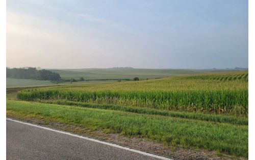 rural road and fields