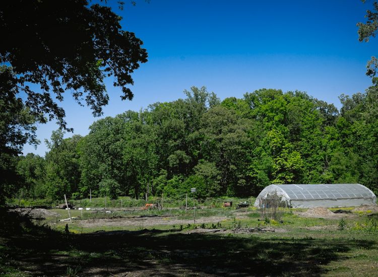 Photo of farm