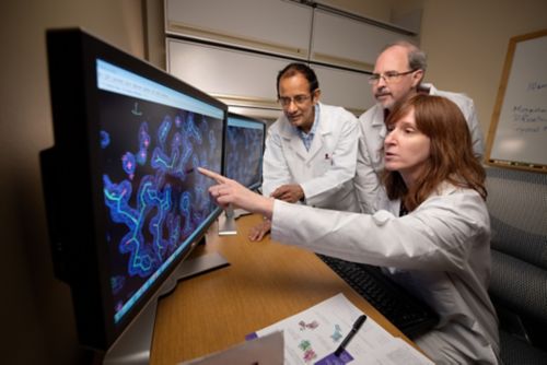 The Biomolecular X-Ray Crystallography Center
