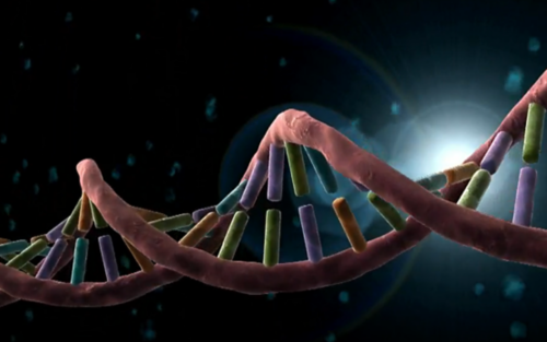 image of dna helix