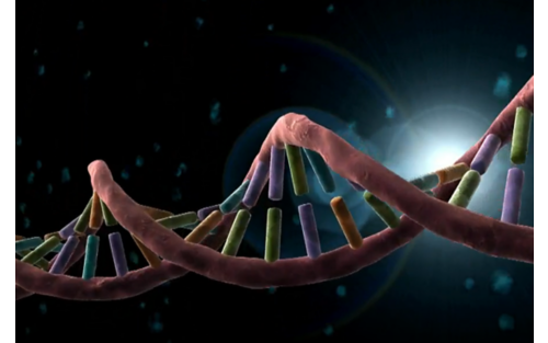 image of dna helix