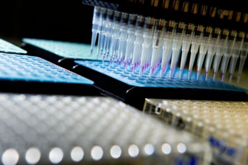 lab equipment