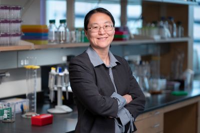Lei Yang, PhD
