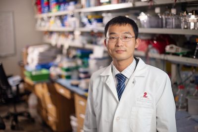 Shu Yang, PhD