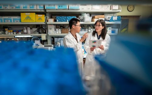 Researchers Xu Yang, PhD, and Yizhen Li, PhD, in a lab