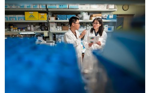 Xu Yang and Yizhen Li in a laboratory