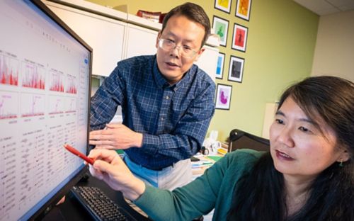Researchers develop method to dramatically reduce error rate in next-generation sequencing