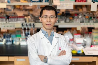 Peipei Zhou, PhD
