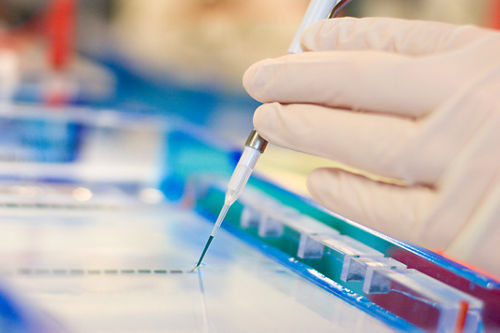 gloved hand in research lab
