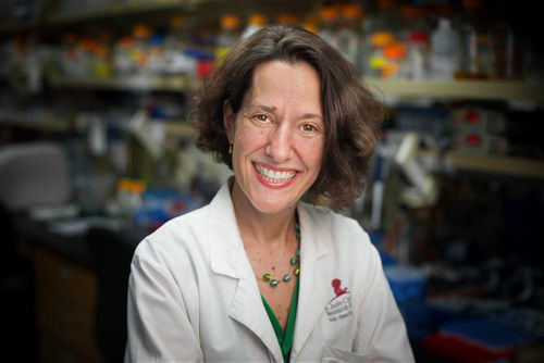 Brenda Schulman, PhD