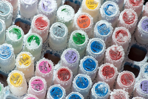 frozen tubes