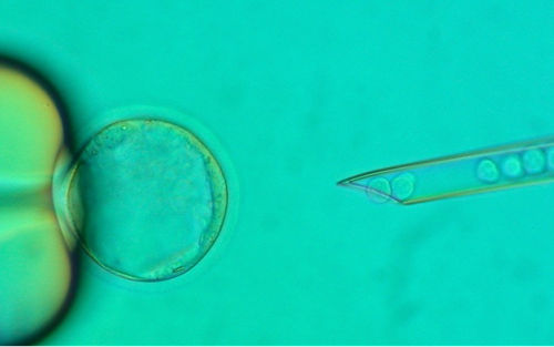 Biorepository Overview