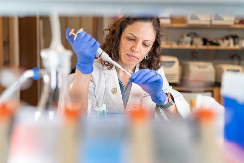 A scientist inserts a substance into a test tube with a pipette at the bench.