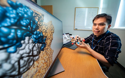 Hai Dao, PhD