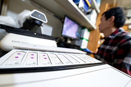 Man working at a keyboard in a lab