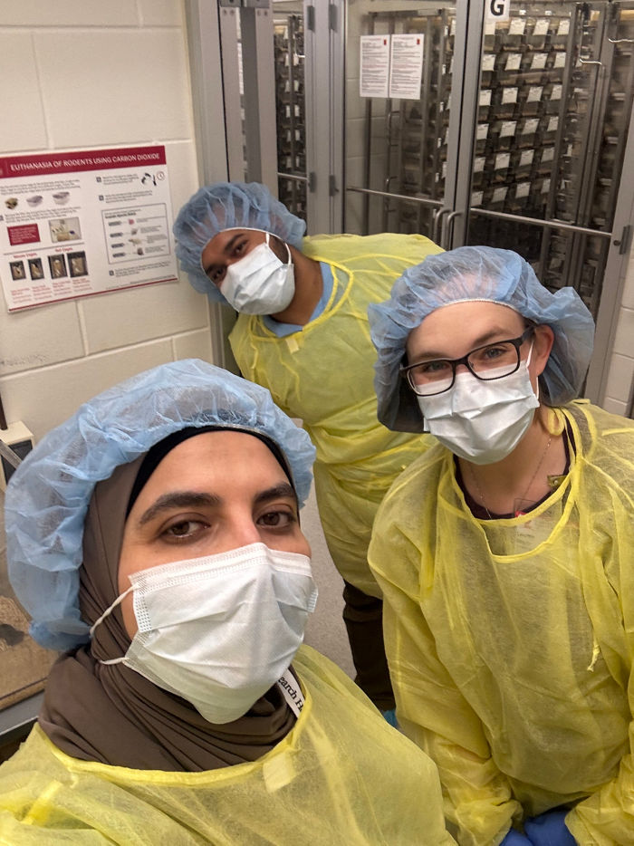 Nichols lab 