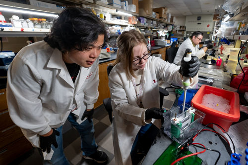    The projects in our laboratory explore HSC ontogeny, the molecular regulation of HSC transplantation, and the effect of chronic hematologic stress and disease on these stem cells. Our work incorporates several approaches and techniques, including flow cytometry, fate mapping, functional studies, single-cell RNA sequencing, bioinformatics, imaging and pathology.