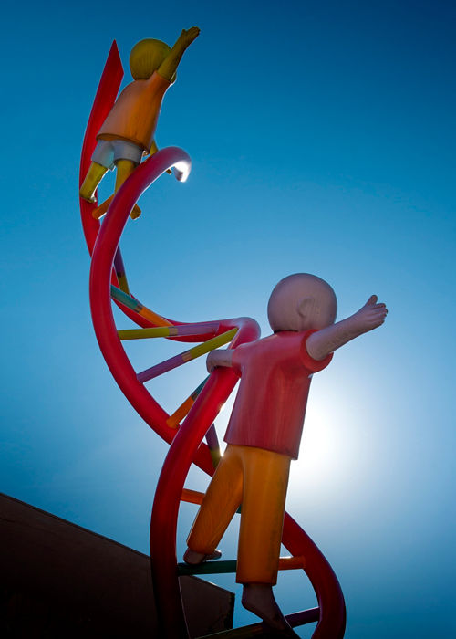 photo of sculpture of child playing on DNA helix