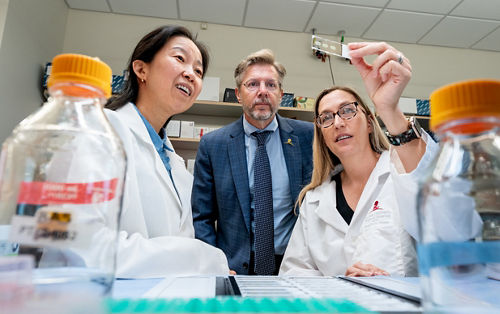 Pictured left to right, Hong Joo Kim, PhD, J. Paul Taylor, MD, PhD, and Ane Korff, PhD
