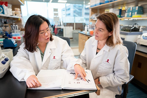 Christy LaFlamme, PhD, Heather Mefford, MD, PhD