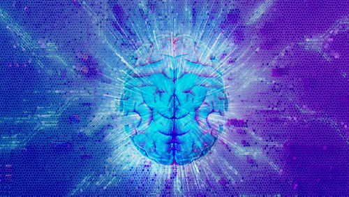 illustration of human brain