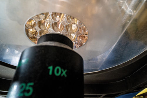 microscopy equipment looking at cells in vitro