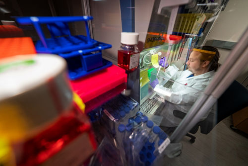 Man working at a lab bench