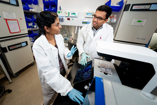 man and woman talking in a lab